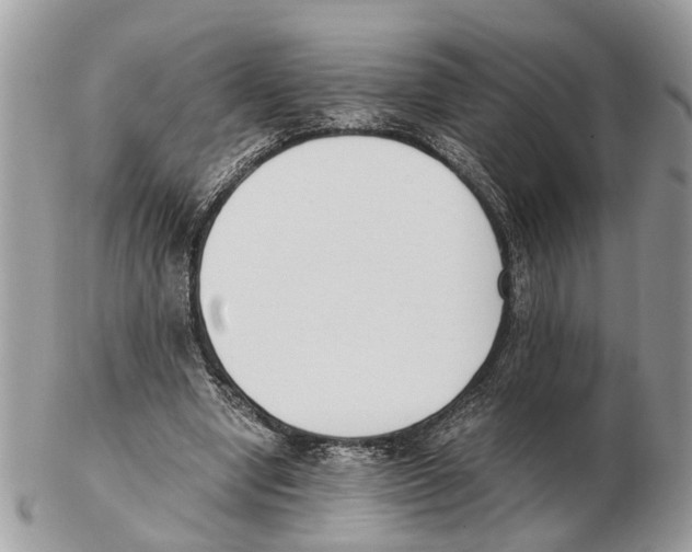 X0000102470442200809051336
