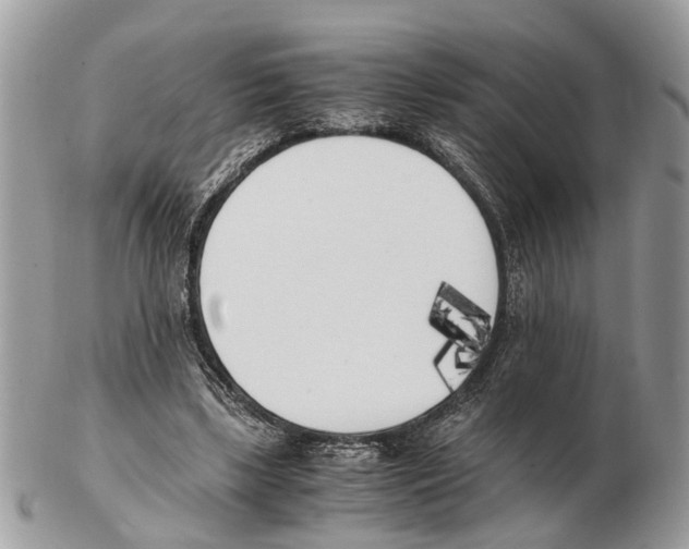 X0000102470443200809051336
