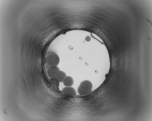 X0000102470444200809051336