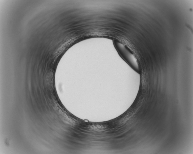 X0000102470445200809051336