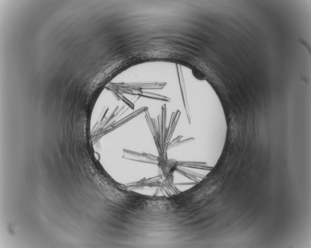 X0000102470446200809051336