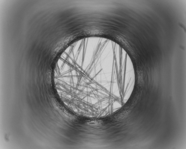 X0000102470447200809051336