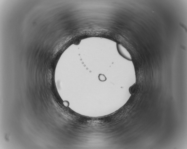 X0000102470448200809051336