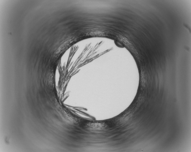 X0000102470449200809051336