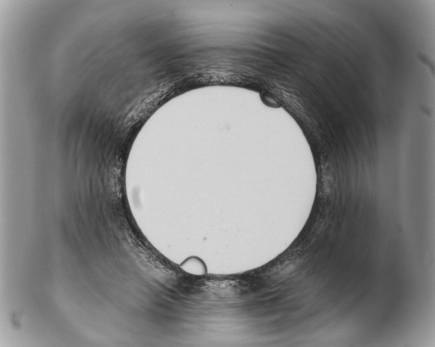 X0000102470450200809051336