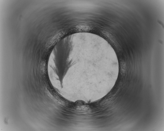 X0000102470451200809051336