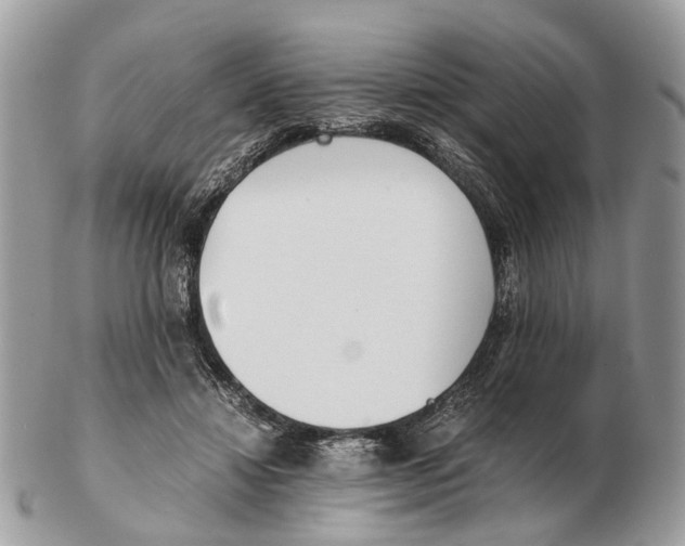 X0000102470452200809051336