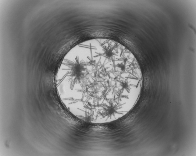 X0000102470453200809051336