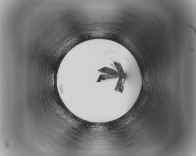 X0000102470454200809051336