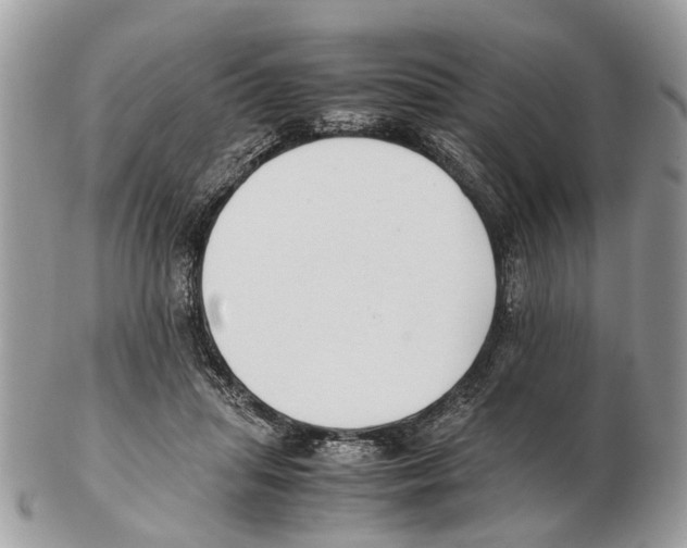X0000102470455200809051336