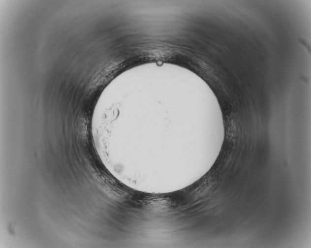 X0000102470456200809051336
