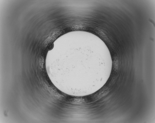 X0000102470458200809051336