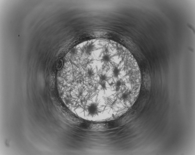 X0000102470461200809051337