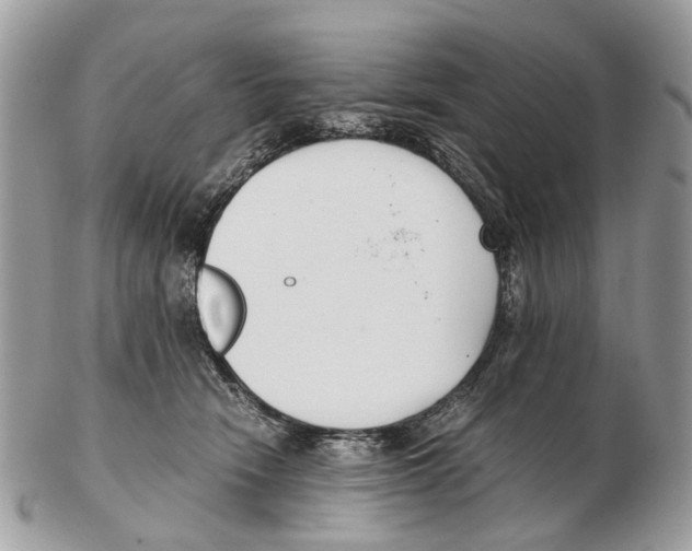 X0000102470466200809051337