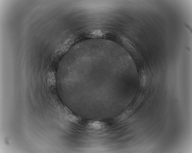 X0000102470467200809051337