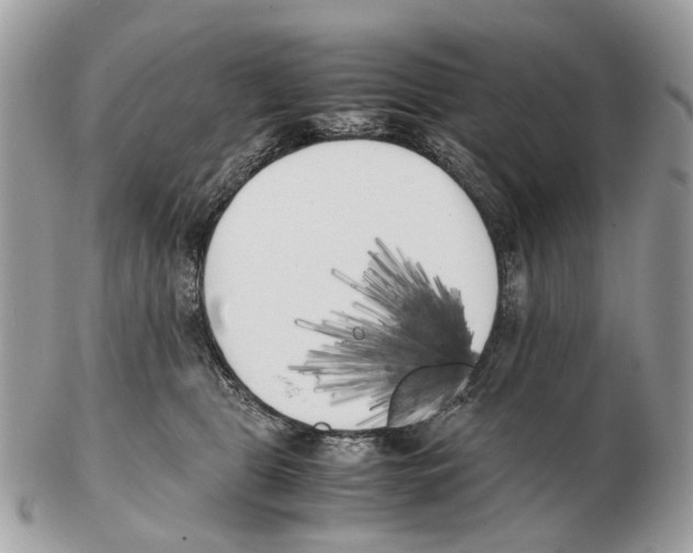 X0000102470469200809051337