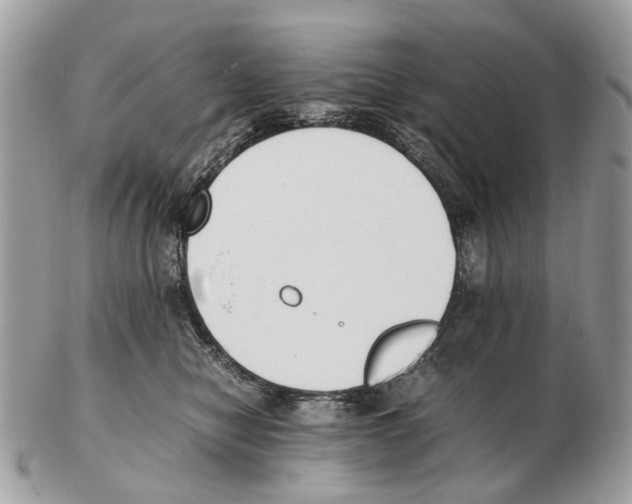 X0000102470470200809051337