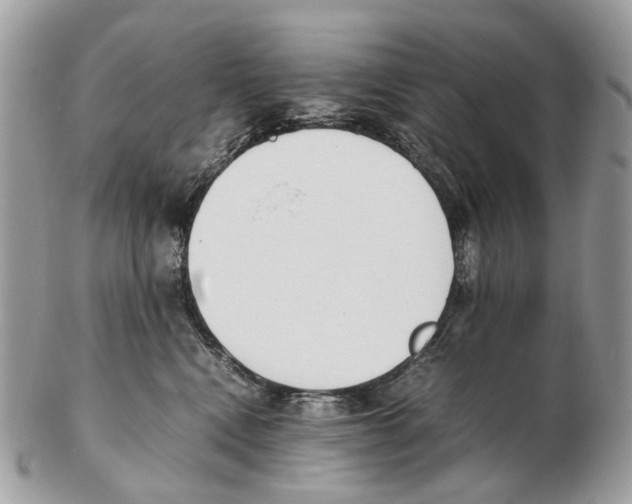 X0000102470472200809051337