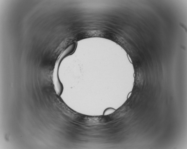 X0000102470473200809051337