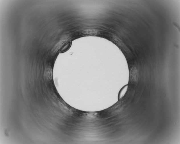 X0000102470474200809051337