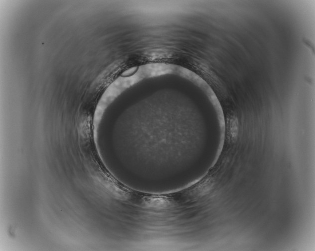 X0000102470475200809051337