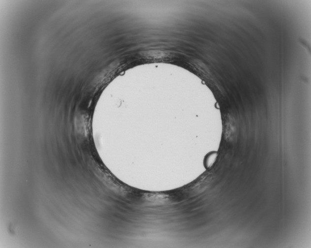 X0000102470476200809051337
