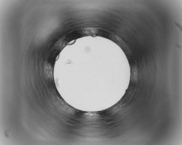 X0000102470477200809051337