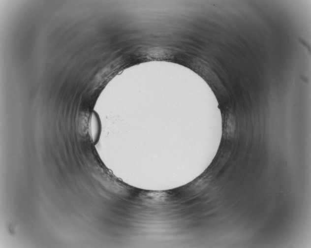 X0000102470478200809051337