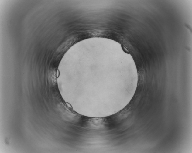 X0000102470479200809051337