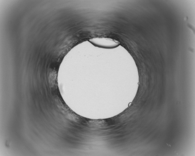 X0000102470480200809051337