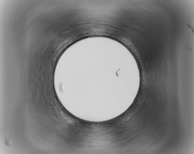 X0000102470481200809051336