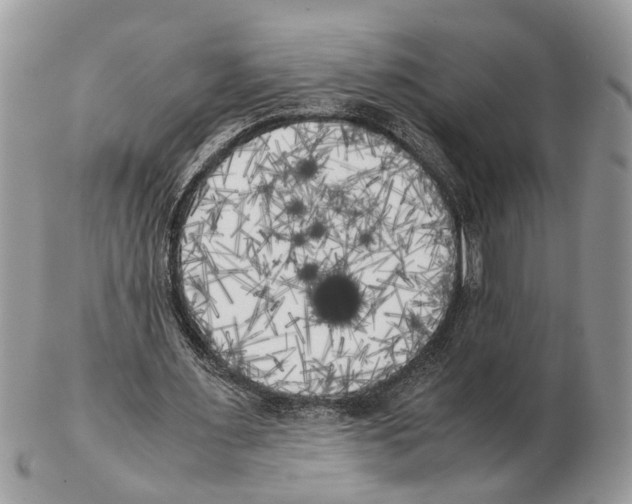 X0000102470483200809051336