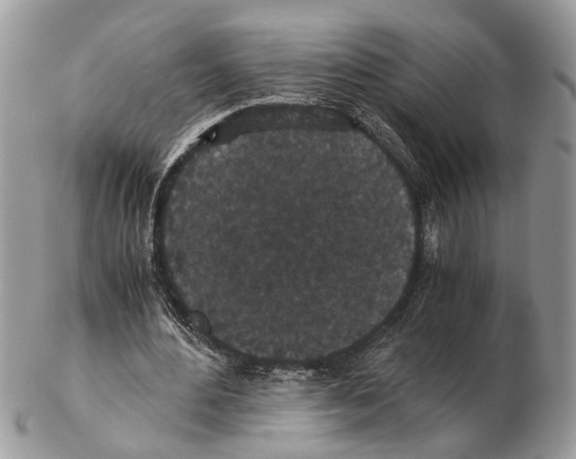 X0000102470484200809051336