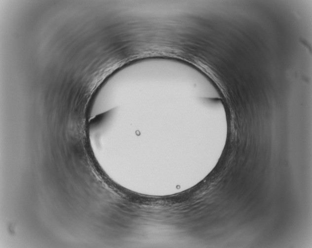 X0000102470485200809051336