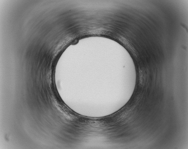 X0000102470486200809051336