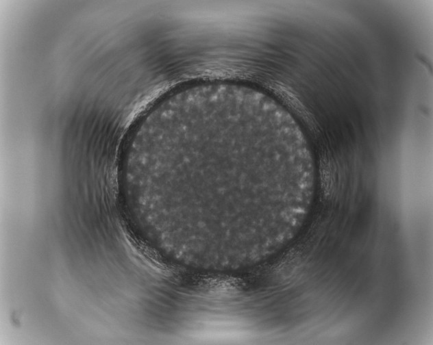 X0000102470488200809051336