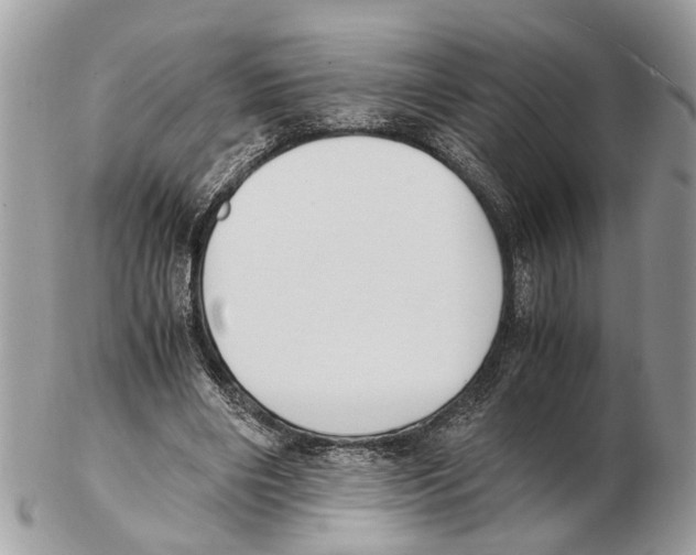 X0000102470490200809051336