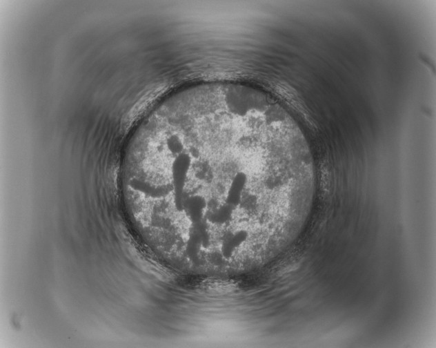 X0000102470491200809051336