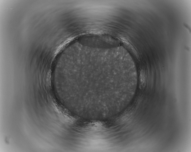 X0000102470492200809051336