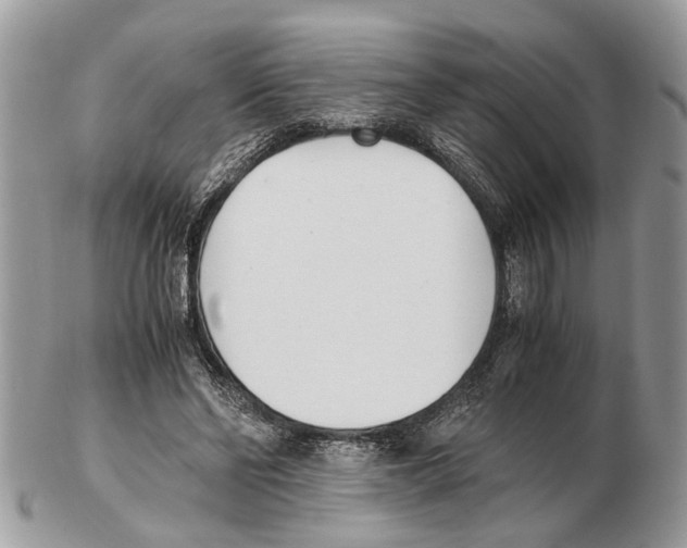 X0000102470494200809051336