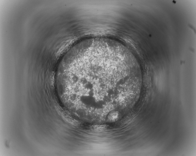 X0000102470495200809051336