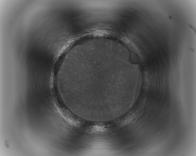 X0000102470496200809051336
