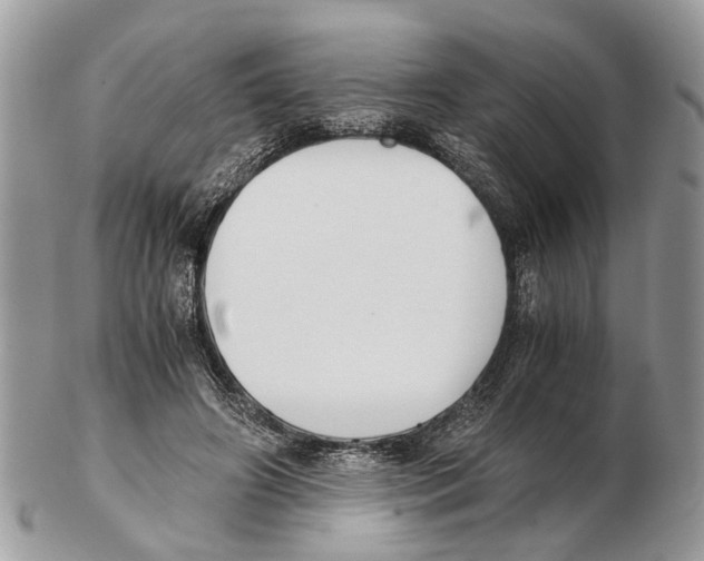 X0000102470498200809051336