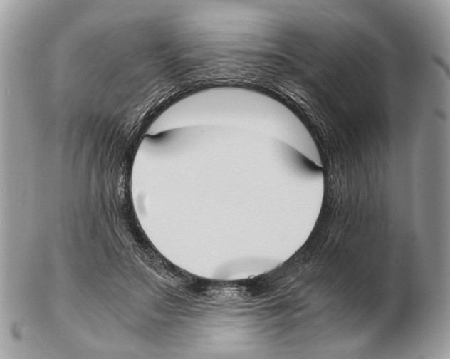 X0000102470499200809051336