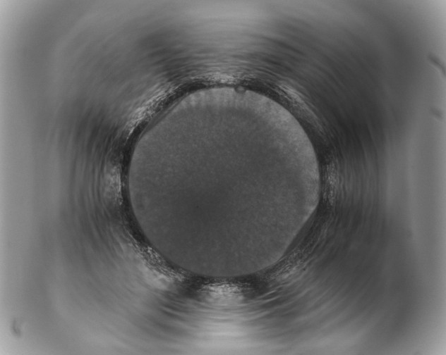 X0000102470500200809051336