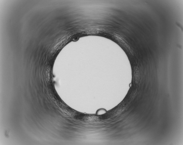 X0000102470501200809051336