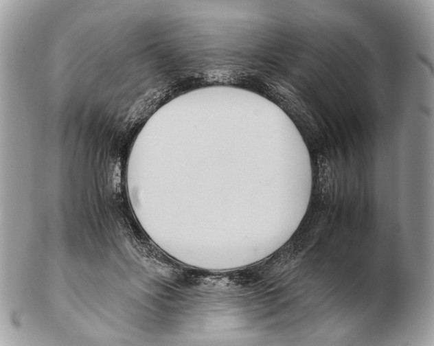 X0000102470502200809051336