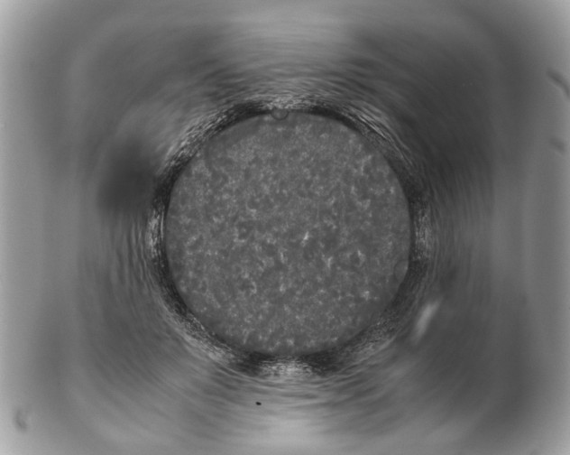 X0000102470503200809051336