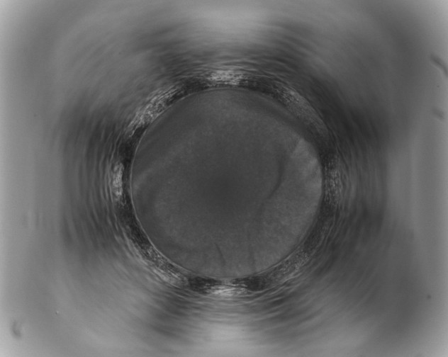 X0000102470504200809051336