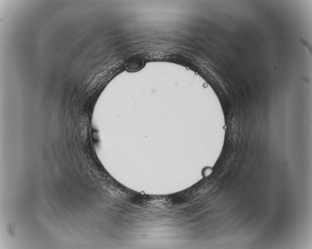 X0000102470505200809051336